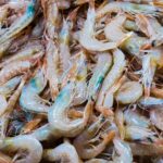 shrimps-and-lobster-at-a-spanish-fish-market-photo